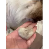 日記画像