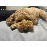 日記画像