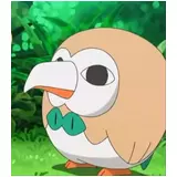 日記画像