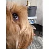 日記画像