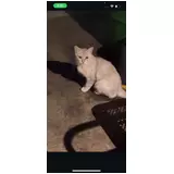日記画像