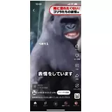 日記画像