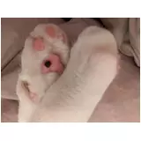 日記画像
