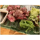 日記画像