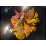 日記画像