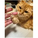 日記画像