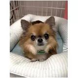 日記画像