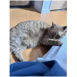 日記画像