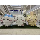 日記画像
