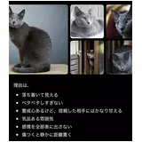 日記画像