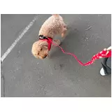 日記画像