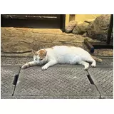 日記画像