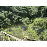 日記画像