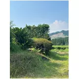 日記画像