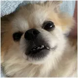 日記画像