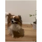 日記画像