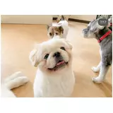 日記画像