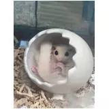 日記画像