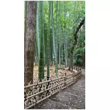 日記画像