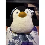 日記画像