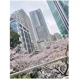 日記画像