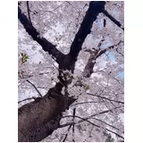 日記画像
