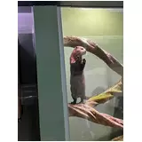 日記画像