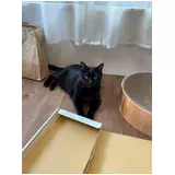 日記画像