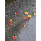 日記画像