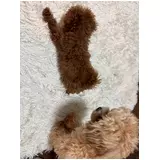 日記画像