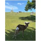 日記画像