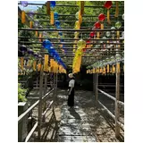 日記画像