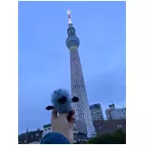 日記画像