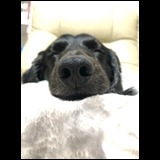 934a4c8651d9fdabdab893d3100d4d9f