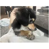 日記画像