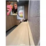 日記画像