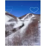 日記画像
