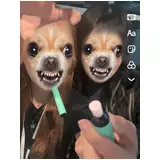 日記画像