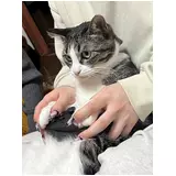 日記画像