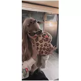 日記画像