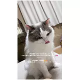日記画像