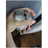 日記画像