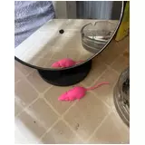 日記画像