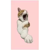 日記画像