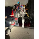 日記画像