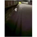 日記画像
