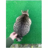 日記画像