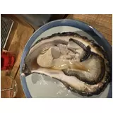 日記画像