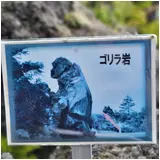 日記画像