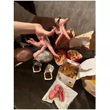 日記画像